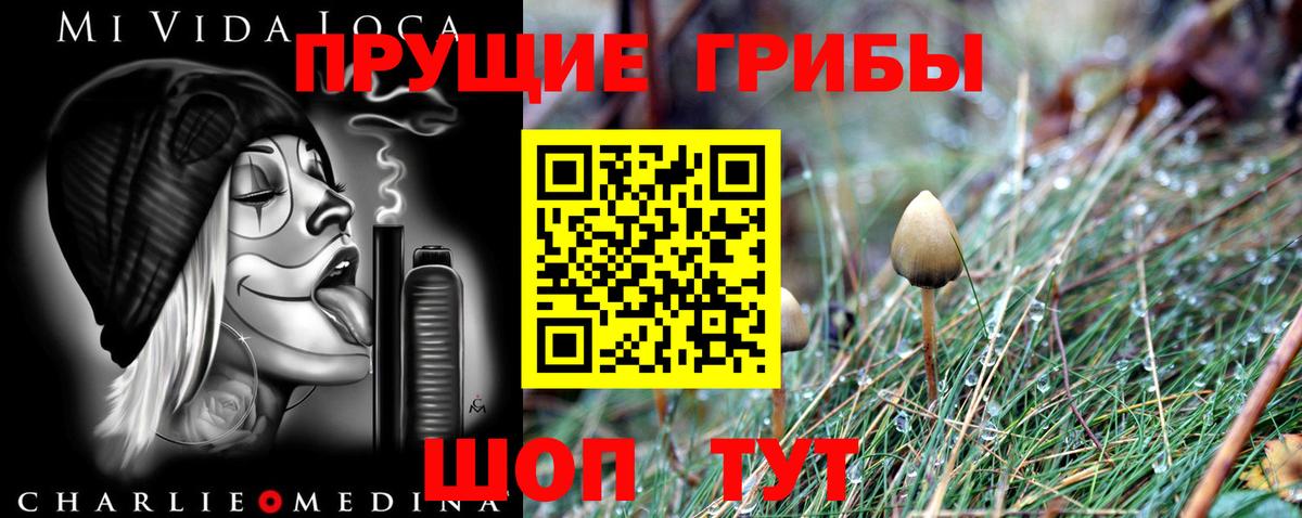 Славянск-на-Кубани  Псилоцибиновые грибы MAGIC MUSHROOMS  Вход с VPN 